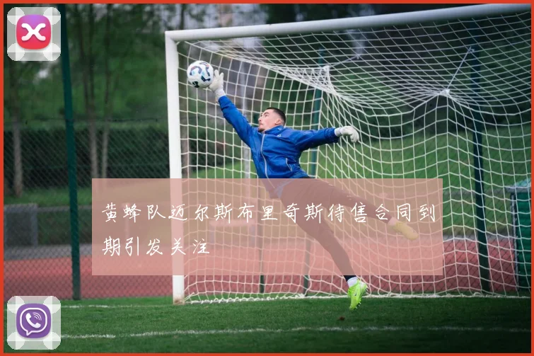黄蜂队迈尔斯布里奇斯待售合同到期引发关注